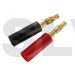 Q-C-0014  Quantum 4.0 mm Gold Plated Solderless Connector Red and Black  